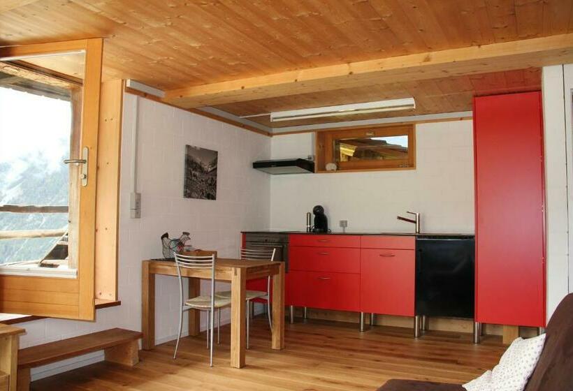 Студио Стандарт с Террасой, Ducan