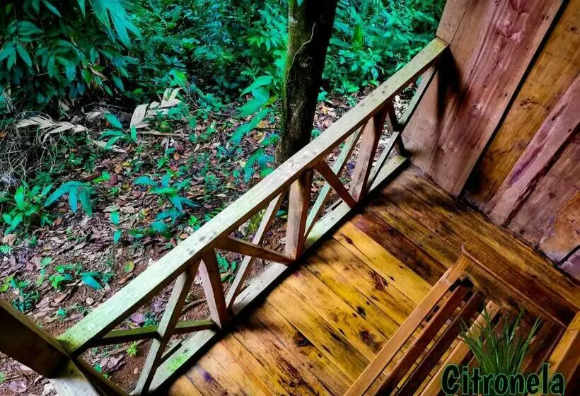 マウンテンビューファミリールーム, Citronela Lodge Corcovado