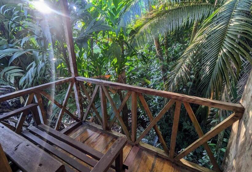 بنجلو قياسى مطلّ علي الحديقة, Citronela Lodge Corcovado