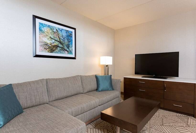 جناح, Doubletree By Hilton Pleasant Prairie Kenosha