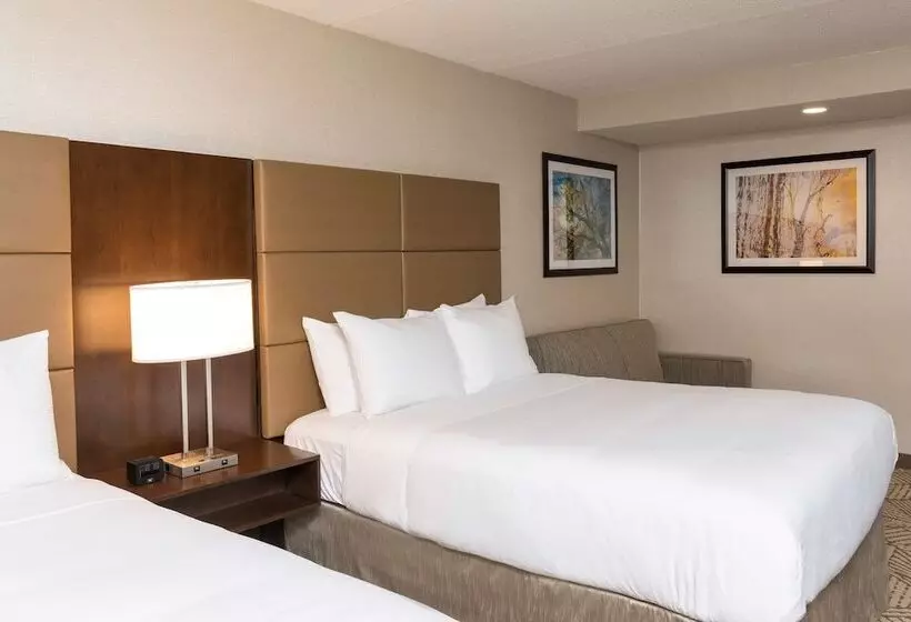 ２ダブルベッドのスタンダードルーム, Doubletree By Hilton Pleasant Prairie Kenosha