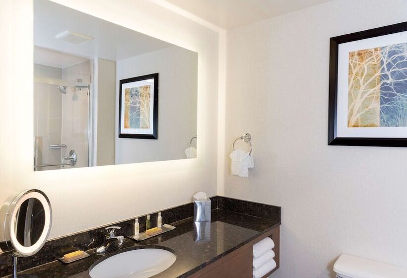 Номер Deluxe, Doubletree By Hilton Pleasant Prairie Kenosha