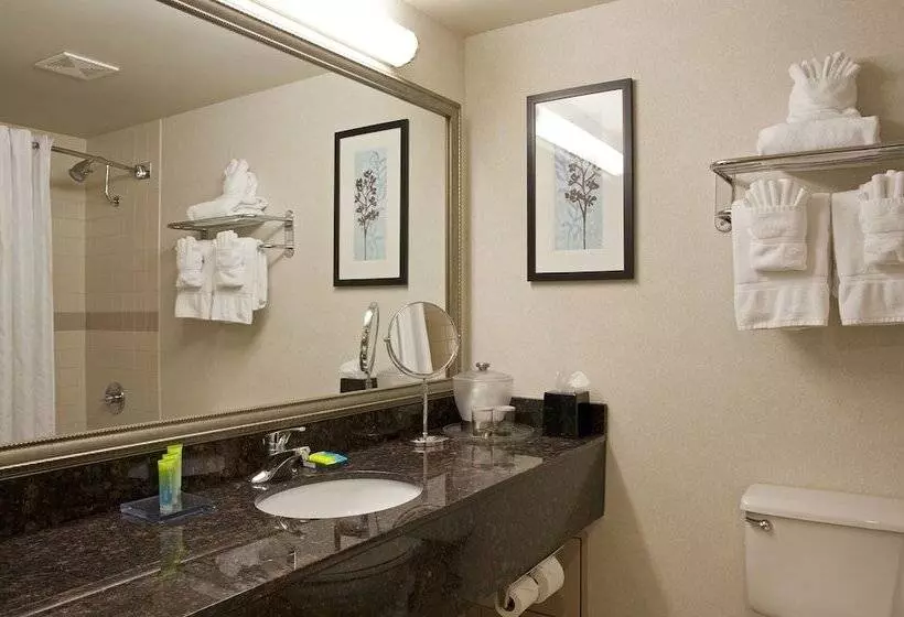 デラックスルーム, Doubletree By Hilton Pleasant Prairie Kenosha