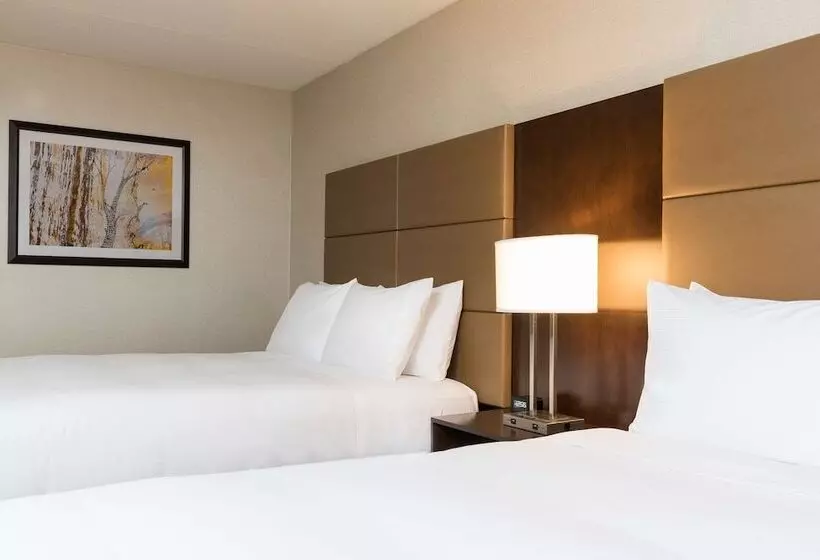 デラックスルーム, Doubletree By Hilton Pleasant Prairie Kenosha