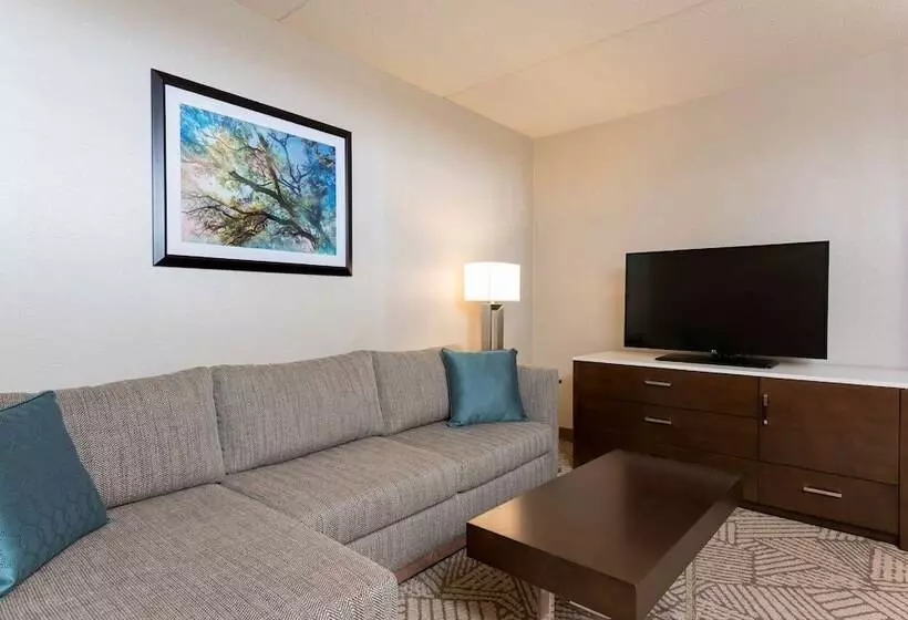 身障者適用スイートルーム, Doubletree By Hilton Pleasant Prairie Kenosha