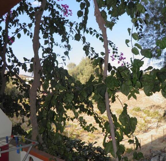 شقة غرفة واحدة, Galaxias Studios