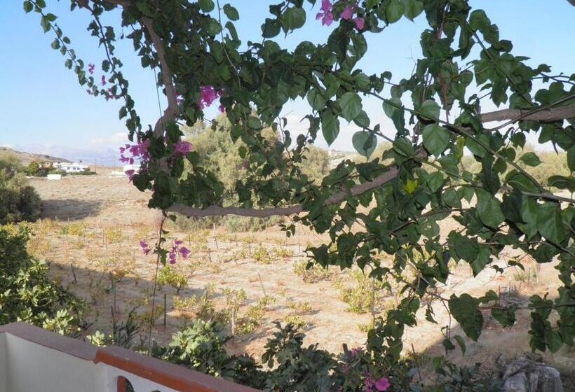 شقة غرفة واحدة, Galaxias Studios