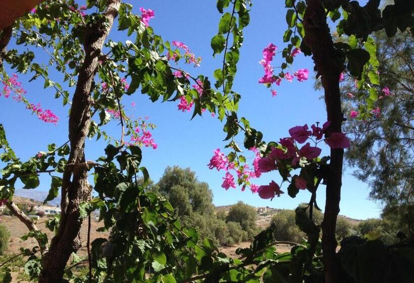 شقة غرفة واحدة, Galaxias Studios