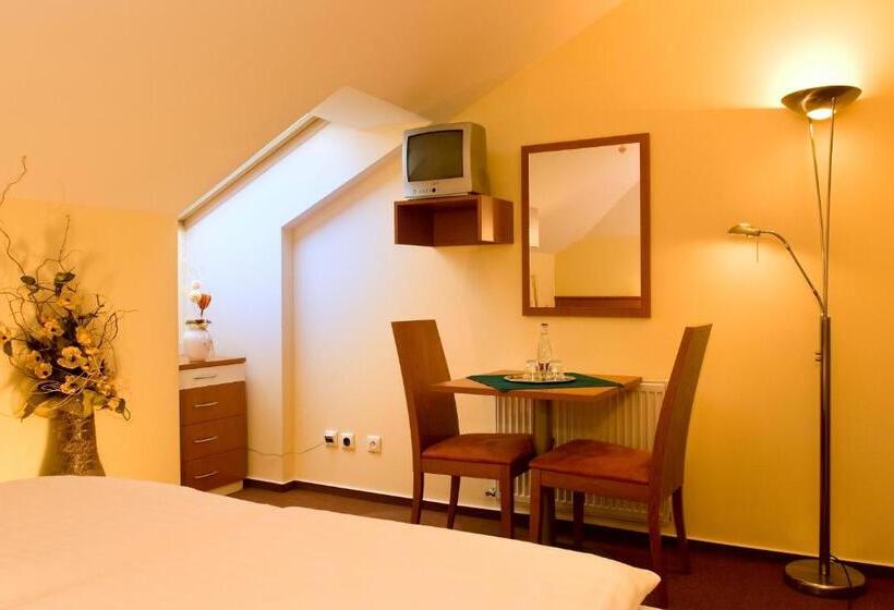 غرفة كلاسيكية, Penzion Franko