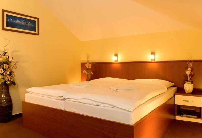 غرفة كلاسيكية, Penzion Franko