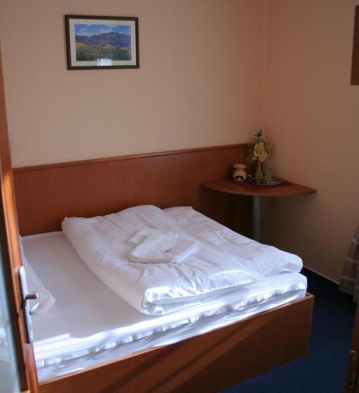 غرفة كلاسيكية فردية, Penzion Franko