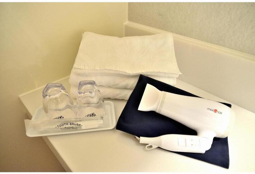 Quarto Estandar Individual, Place Hotel Ascot