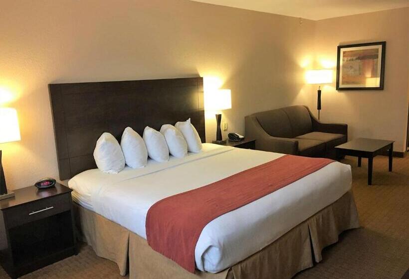 キングサイズベッドのスタンダードルーム, Best Western Flora Inn