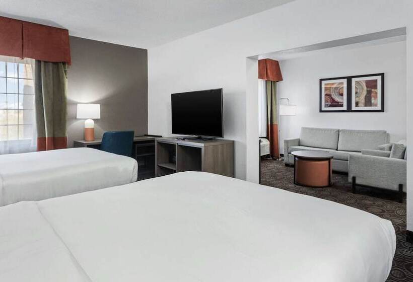 Люкс, Comfort Inn Chandler  Phoenix South I10