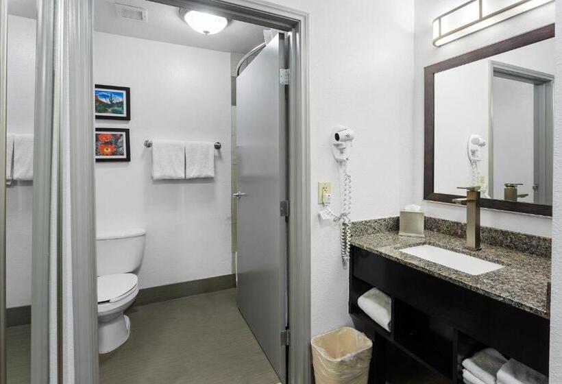 Стандартный Номер Кровать Кинг, Comfort Inn Chandler  Phoenix South I10