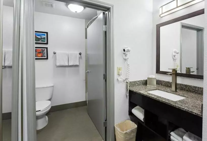 キングサイズベッドのスタンダードルーム, Comfort Inn Chandler  Phoenix South I10