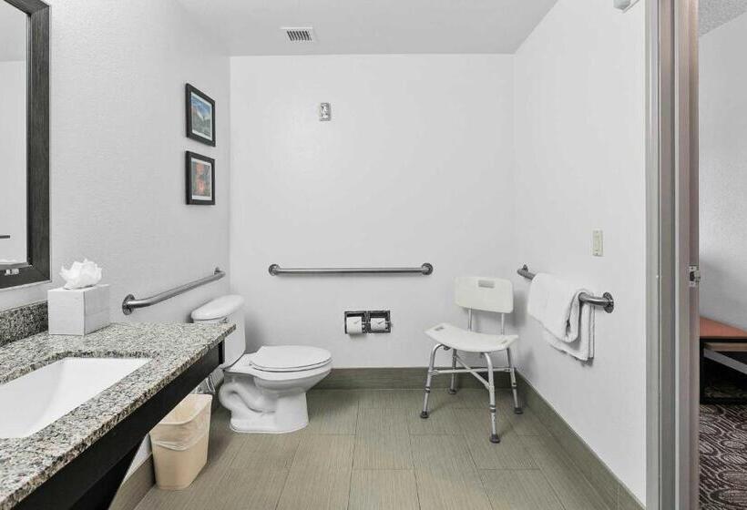 غرفة قياسية سرير كينج لذوى الإحتياجات الخاصة, Comfort Inn Chandler  Phoenix South I10