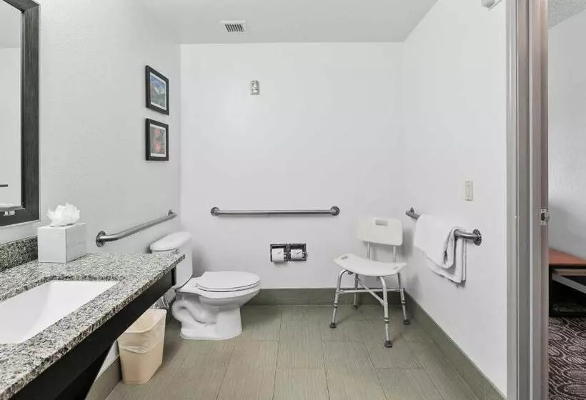身障者適用キングサイズベッドルーム, Comfort Inn Chandler  Phoenix South I10