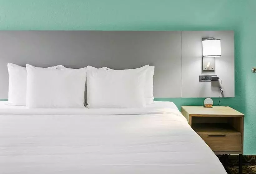 身障者適用キングサイズベッドルーム, Comfort Inn Chandler  Phoenix South I10