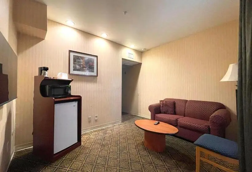 اتاق استاندارد برای معلولان, Park Suites