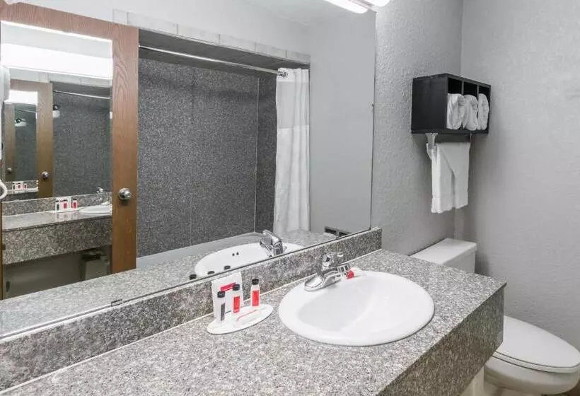 Standard-invahuone King-vuode, Ramada By Wyndham Oklahoma City Airport North