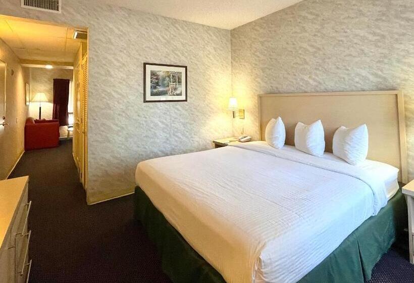 غرفة قياسية فردية لذوى الإحتياجات الخاصة, Ramada By Wyndham South El Monte