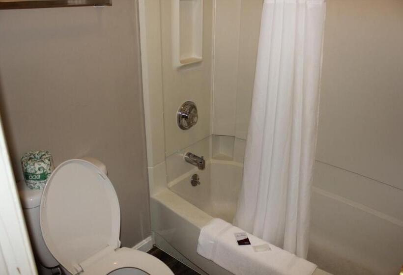 带大床的标准工作室, Red Carpet Inn  Louisville