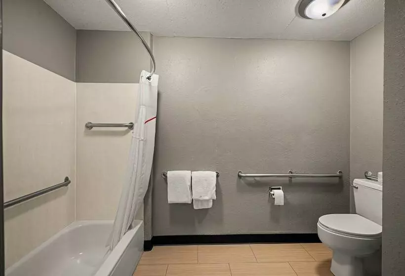 障害者適応デラックスルーム, Red Roof Inn Detroit  Royal Oak/ Madison Heights
