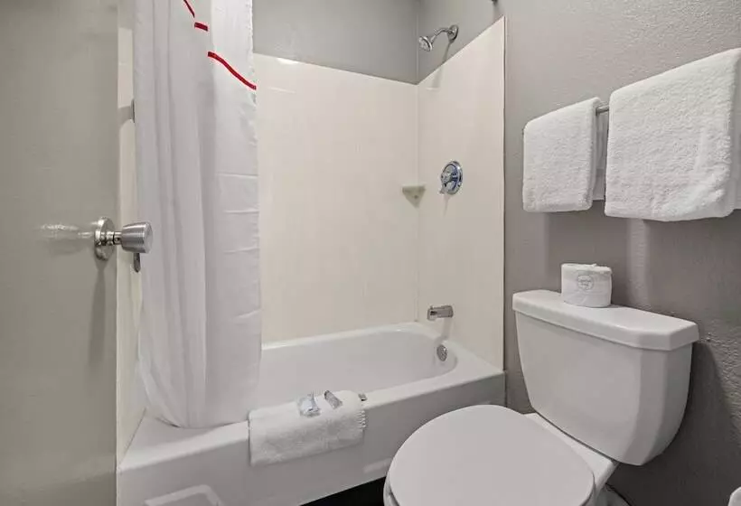 デラックスルーム, Red Roof Inn Detroit  Royal Oak/ Madison Heights