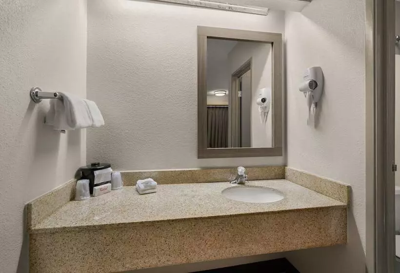 デラックスルーム, Red Roof Inn Detroit  Royal Oak/ Madison Heights