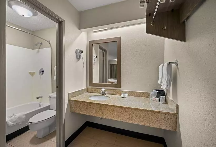 デラックスルーム, Red Roof Inn Detroit  Royal Oak/ Madison Heights