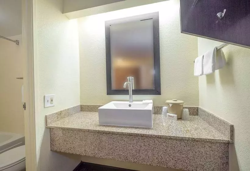 スーペリアールーム, Red Roof Inn Jackson North – Ridgeland