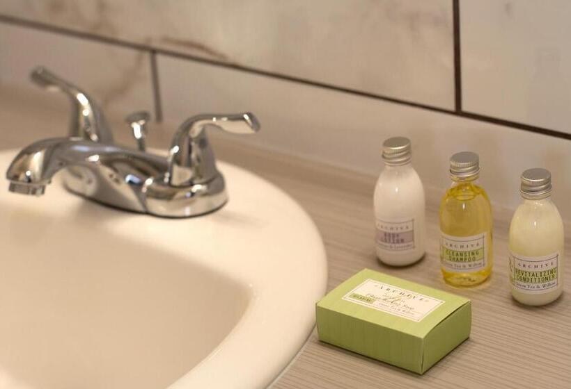 带2个双人床的标准工作室, Steam Plant