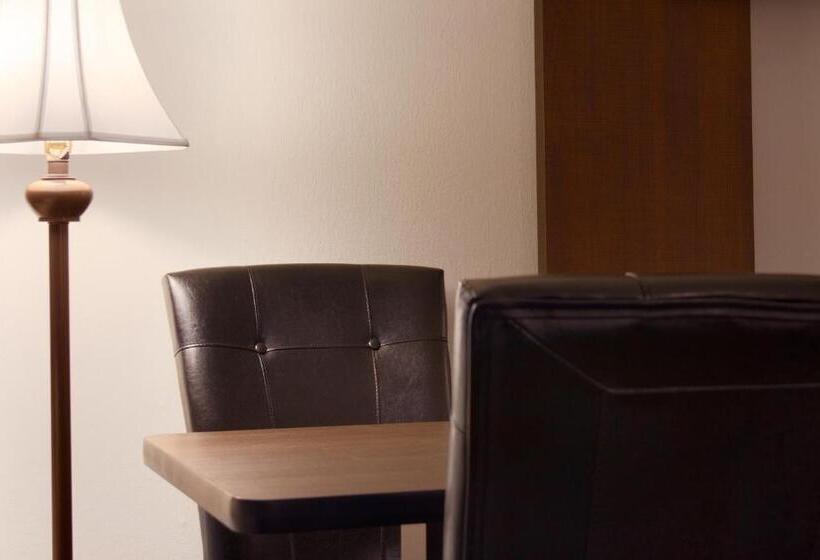 带2个双人床的标准工作室, Steam Plant