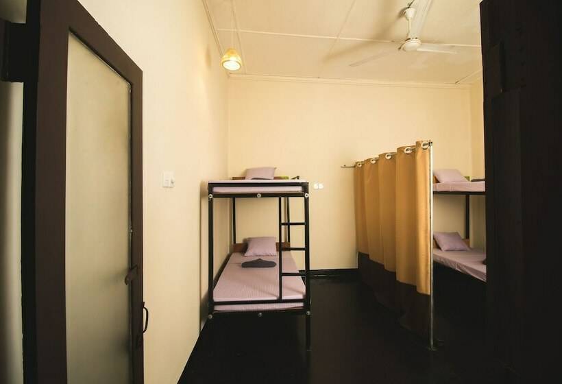 سرير فى غرفة مشتركه, The Oasis Hostel