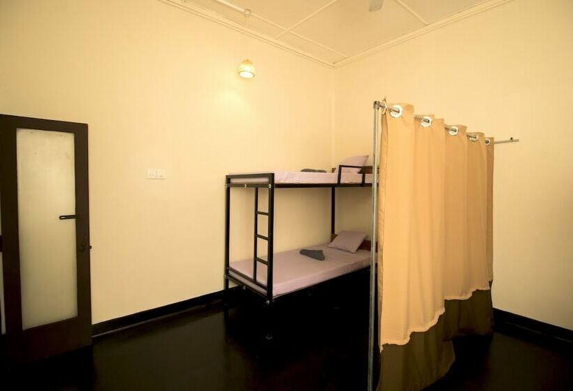 سرير فى غرفة مشتركه, The Oasis Hostel