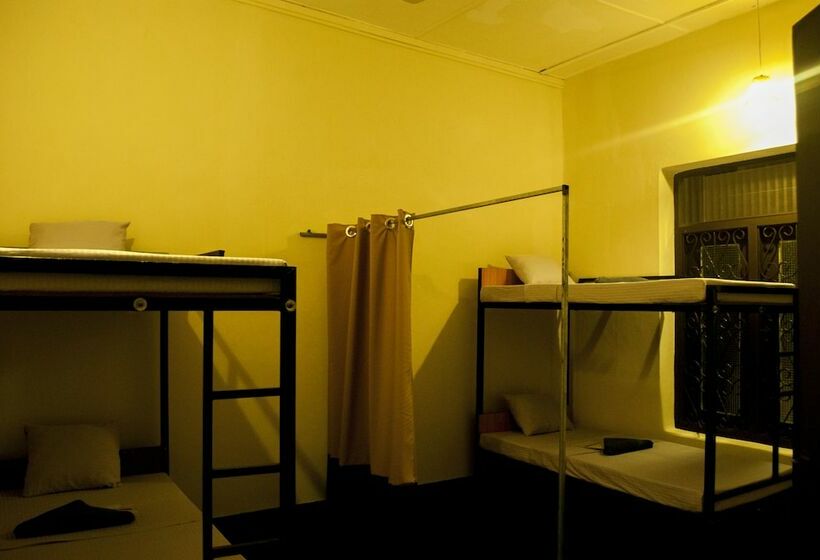 سرير فى غرفة مشتركه, The Oasis Hostel