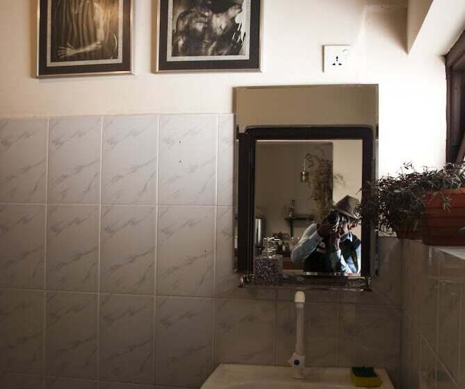 سرير فى غرفة مشتركه, The Oasis Hostel