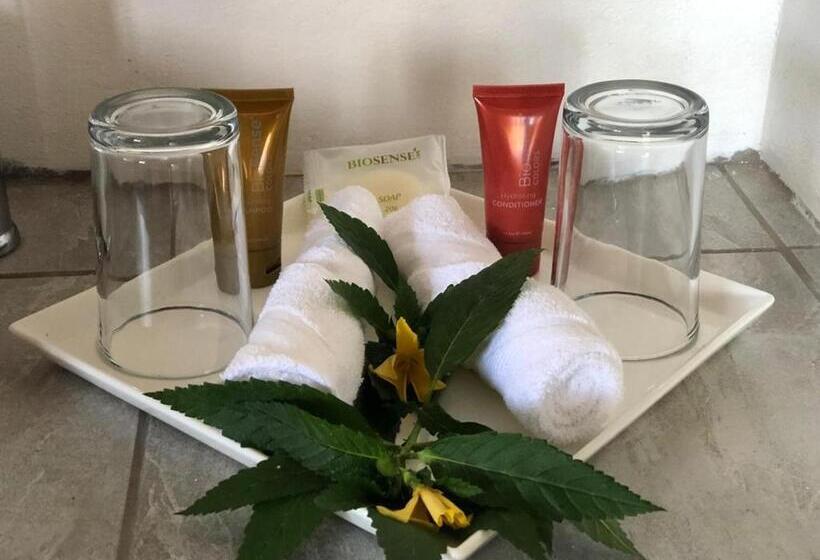 스탠다드 룸 킹사이즈 침대, Ballena Dorada Lodge