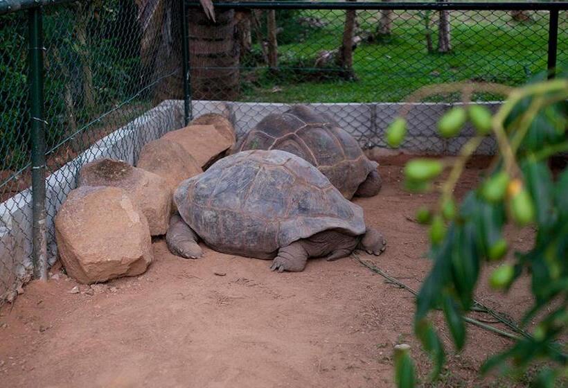 شقة غرفة واحدة مطلة على الحديقة, Evergreen Apartments