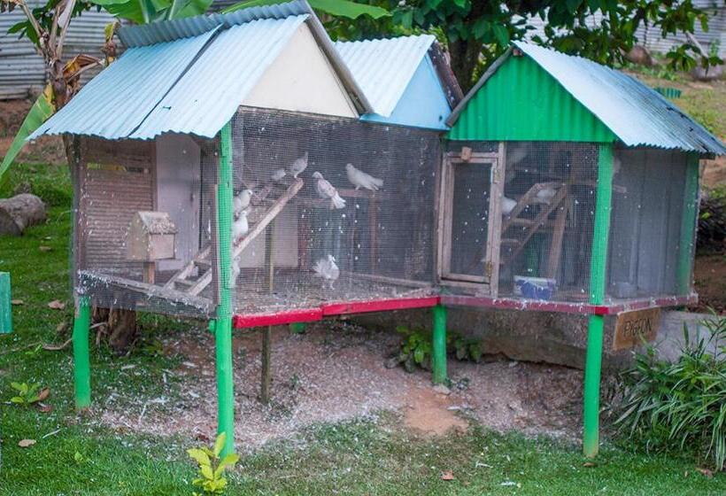 شقة غرفة واحدة مطلة على الحديقة, Evergreen Apartments