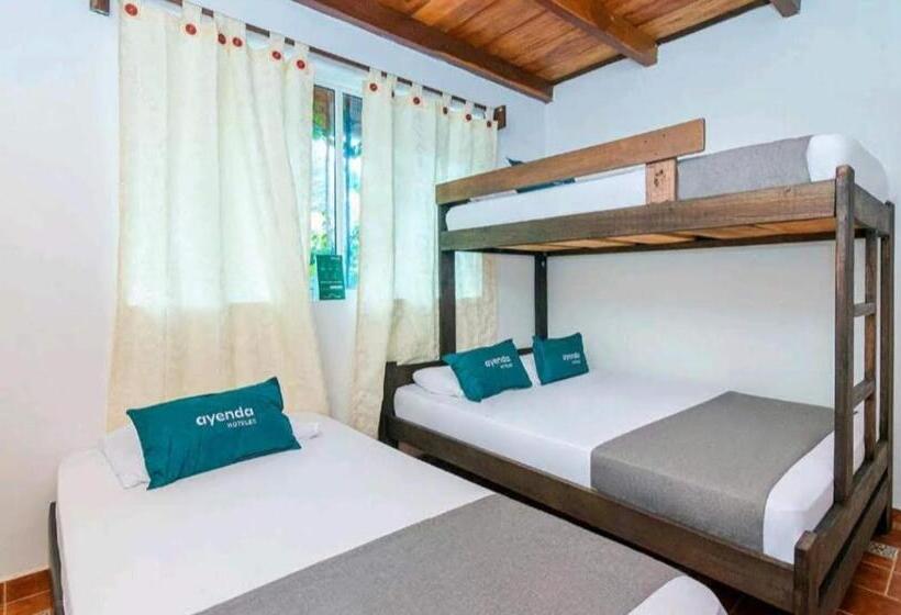 Четырехместный Номер Стандарт, Kayena Hostel