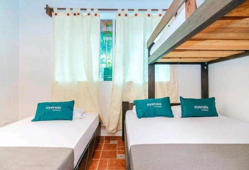 Четырехместный Номер Стандарт, Kayena Hostel