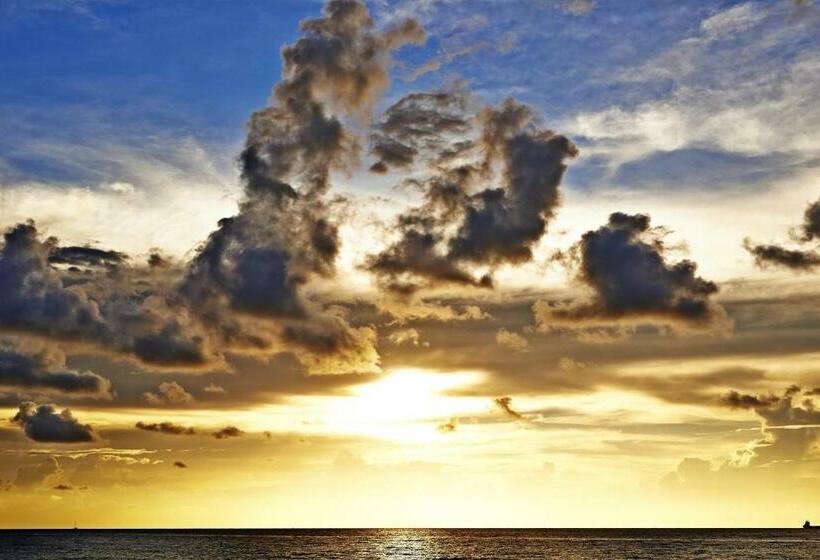 Студио Стандарт Кровать Кинг, Nautilus Sonesta Miami Beach