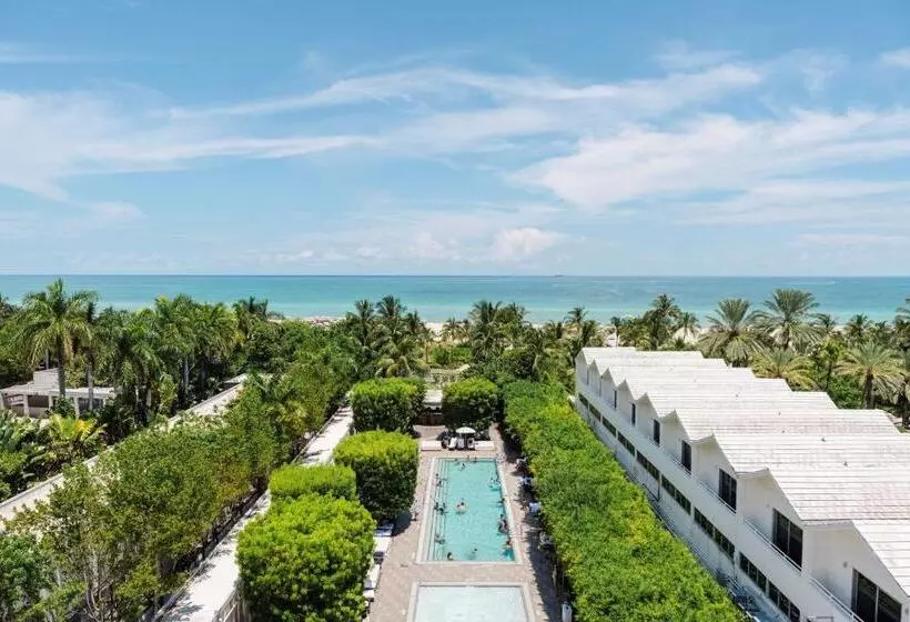 キングサイズベッドのデラックスルーム, Nautilus Sonesta Miami Beach