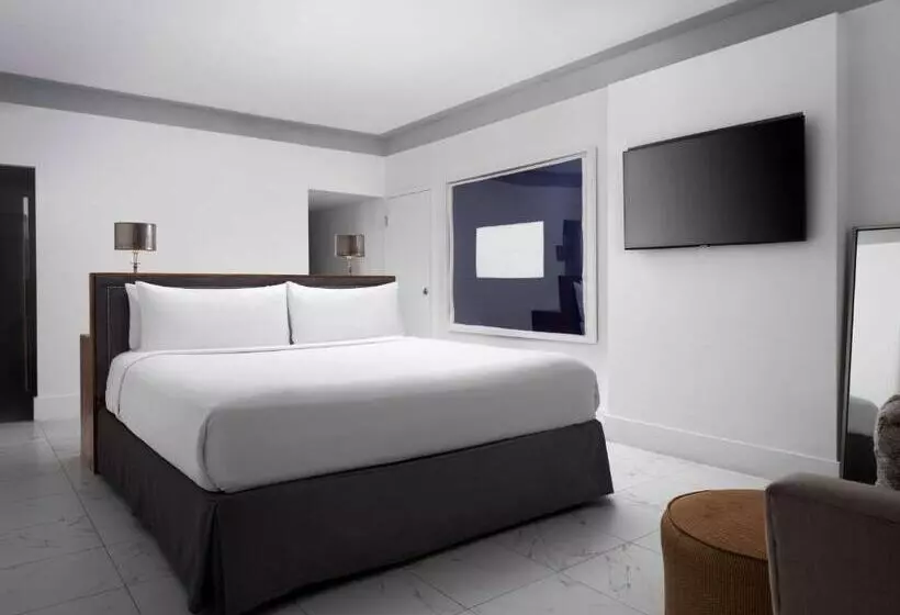 キングサイズベッドのデラックスルーム, Nautilus Sonesta Miami Beach