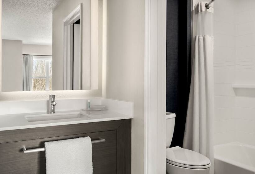 Люкс, Residence Inn By Marriott Davenport