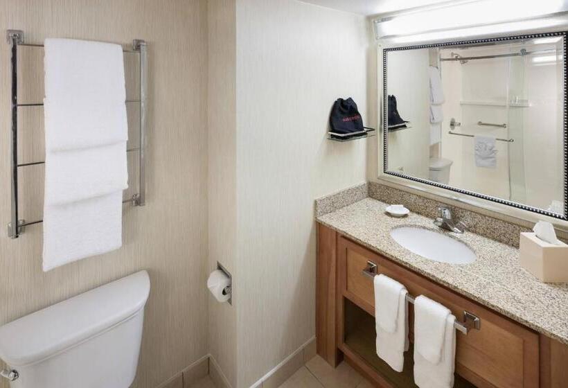 标准工作室带阳台, Residence Inn By Marriott Seattle Downtown/lake Union