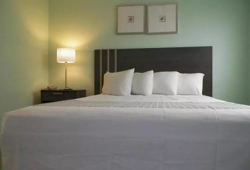 キングサイズベッドのデラックススイート, Royal Canadian Motel