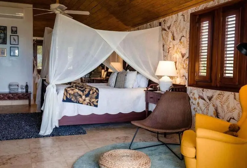 景色の見えるスタンダード４人部屋, Selectum Hacienda Punta Cana